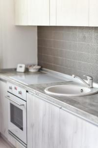 科查尼Exclusive 7- New Modern Cozy Apartment的厨房柜台设有水槽和微波炉