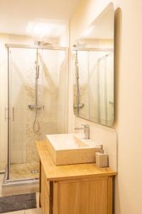 第戎素耶公寓的一间带水槽和淋浴的浴室