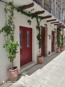 雷夫卡达镇Lefkas Central的白色建筑中一扇红门,上面有盆栽植物