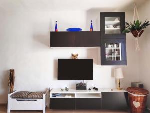 蒂亚斯El timple的客厅设有壁挂式平面电视。
