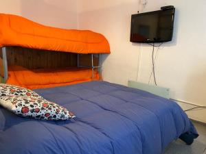 皮拉米德斯港El Canto de la Ballena Loft的一间卧室配有一张床和一台平面电视