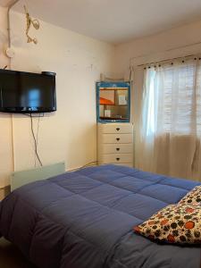 皮拉米德斯港El Canto de la Ballena Loft的卧室配有一张床,墙上配有电视。