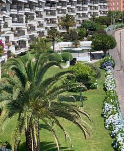 圣维森德马尔Estupendo apartamento en San Vicente do Mar O Grove的一座大建筑前的棕榈树