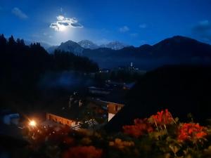 圣维吉利奥Agritur Bolser的夜晚与月亮的山景