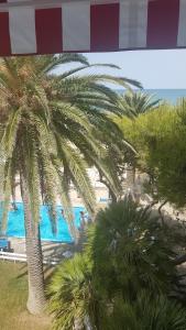 锡尔维玛丽娜Hotel Silvi的享有棕榈树海滩和大海的景色