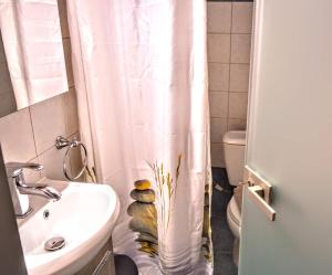 奥林匹亚达奥林匹克酒店的浴室配有水槽、卫生间和浴帘