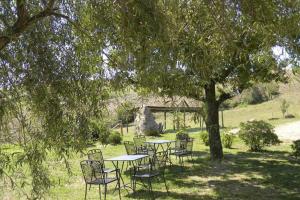 拉迪科法尼Casale meraviglioso Val d'Orcia con piscina的树下一组桌椅