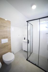 韦巴WILLA ILONA 1的一间带卫生间和玻璃淋浴间的浴室