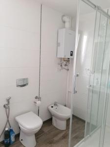 瓦伦西亚Malvarrosa apartamentos的白色的浴室设有卫生间和淋浴。