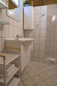 德普因-艾森伯格Kellerstöckl Weinberg的白色的浴室设有水槽和淋浴。