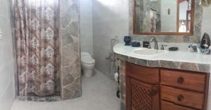 埃尔巴列德安通Valle Luna的一间带水槽、卫生间和淋浴的浴室
