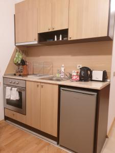 拉兹洛格Apartman Maxim Lux的一个带水槽和洗碗机的厨房