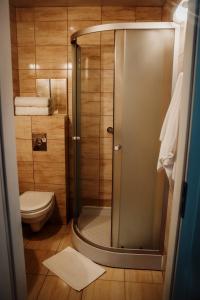 比亚瓦波德拉斯卡Browar Osjann - pokoje gościnne的带淋浴和卫生间的小浴室