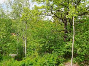 哈宁厄2 person holiday home in HANINGE的一片森林,林中布满了郁郁葱葱的绿色树木