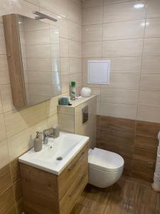 帕内韦日斯Nemuno apartamentai的一间带水槽、卫生间和镜子的浴室