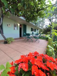 Cisano sul NevaIndependent apartment with a fabulous patio - Casa Penny的一群红色的花在房子前面
