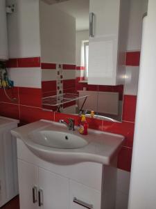 HoražďoviceU Moto Makovic的一间带水槽和红色及白色墙壁的浴室