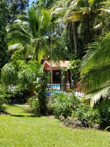 奥莫阿Plasencia Estate的一个带游泳池和棕榈树的度假村