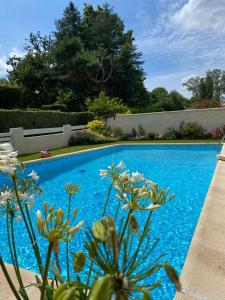 莱奥尼昂Maison ruisseau l'eau blanche的鲜花庭院中的蓝色游泳池