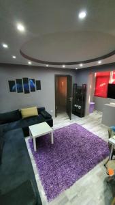 康斯坦察Apartament Butterfly Mamaia Intrare的客厅配有沙发和紫色地毯
