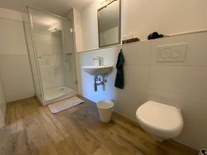 KleinlützelHotel Gasthof Engel的浴室配有卫生间、盥洗盆和淋浴。