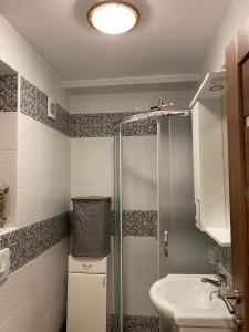 帕里斯特Apartment Jadran的带淋浴和盥洗盆的浴室