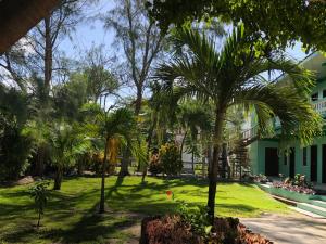 圣佩德罗Belize Budget Suites的棕榈树庭院和建筑