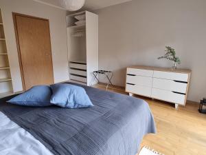塔尔图R63 Apartment with Terrace的一间卧室配有一张带蓝色枕头的床