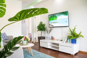 斯普利特Apartment Josipa的客厅里种有植物,墙上配有电视