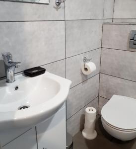 奥斯威辛Lovely place-apartament Oświęcim的一间带水槽和卫生间的浴室
