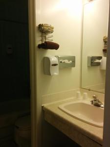 布里奇沃特布里奇沃特酒店的一间带水槽、镜子和卫生间的浴室