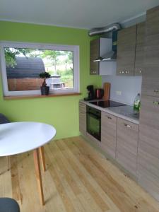 维尔雅尔姆Abri de jardin的厨房设有绿色的墙壁、桌子和窗户