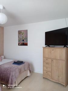 苏普拉希尔Apartament Pod Wiśnią的卧室配有木质梳妆台上的平面电视。