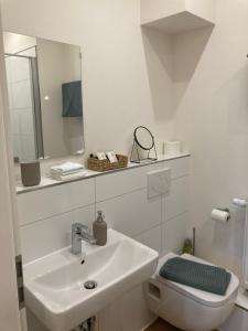 摩泽尔河畔的泽尔Apartment Hallenbach的一间带水槽、卫生间和镜子的浴室