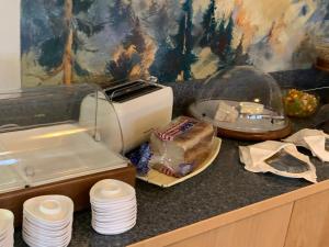 涅德劳Hotel Schneeberger的厨房柜台配有烤面包机和盘子,位于柜台上