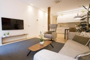 圣塞瓦斯蒂安ATSEGIN apartment climatización -Opción a parking-的客厅配有沙发和墙上的电视