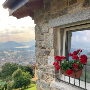 Casale Corte CerroIl riccio di Ricciano的花盆里满是红花的窗户