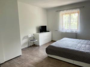 滨湖伦茨Holiday House Promenade的一间卧室配有一张床、一台电视和一把椅子