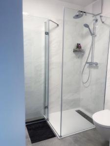 滨湖伦茨Holiday House Promenade的浴室里设有玻璃门淋浴