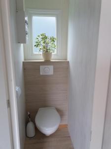 维尔舍姆Tiny House Natur-Traum Zur Burg Eltz的浴室设有卫生间、窗户和植物