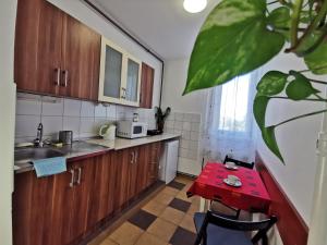松博特海伊阿策普特斯多莫斯公寓的厨房配有木制橱柜和红色桌子