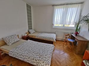 松博特海伊阿策普特斯多莫斯公寓的一间卧室设有两张床、一张桌子和一个窗口。