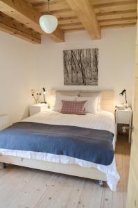 BlatnicaDom Pod Lipami的一间卧室设有一张大床和木制天花板。