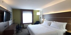 里贾纳南里贾纳智选假日酒店及套房的配有一张床和一台平面电视的酒店客房