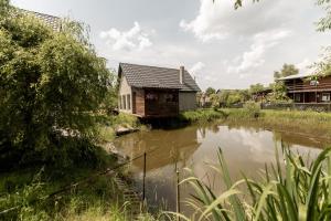 斯维季亚济Дача рибача的一个小房子,靠近一个小池塘
