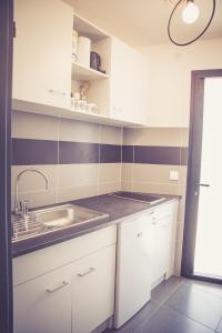 卡尔卡松514公寓酒店的厨房配有白色橱柜和水槽