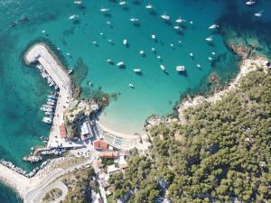 圣多米诺卡拉德勒阿勒内度假屋的海港的空中景色,水中有船只