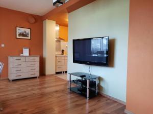 斯塔拉·里斯拉Apartment Piknik的客厅设有壁挂式平面电视。