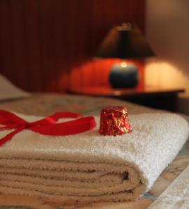 PrylukyAlexandria Hotel的桌子上一堆带红色弓的毛巾