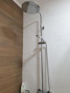 诺维萨德Apartman 33 FREE PRIVATE GARAGE的浴室内配有淋浴和头顶淋浴